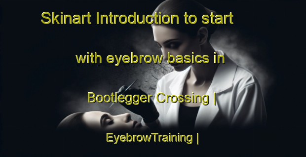 Skinart Introduction to start with eyebrow basics in Bootlegger Crossing | EyebrowTraining | EyebrowClasses | SkinartTraining-United States